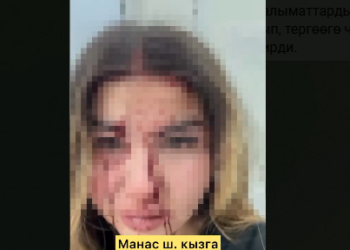 «Кызга жардам керек» деген видео тарагандан кийин териштирүү башталды