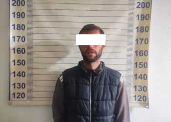 Чүйдө 14 жаштагы кызды көчөдө муунткан шектүү кармалды