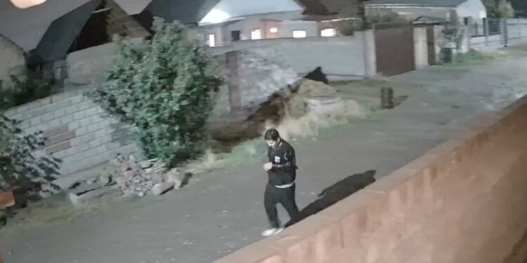 Бишкекте эки адам өлтүрүлдү. Шектүү изделип жатат