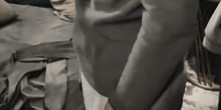 Бишкекте «Антикинолор» текшерилди (видео)