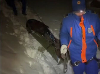 Чокуда бутун кокустатып алган турист куткарылды