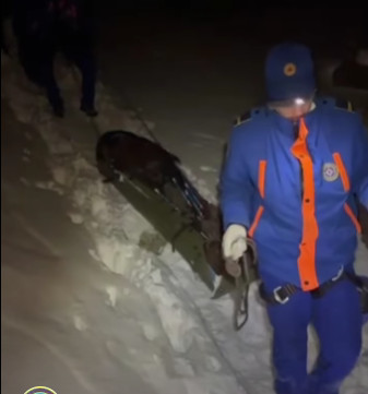 Чокуда бутун кокустатып алган турист куткарылды