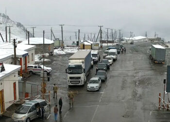 «Сосновка», «Арал» постторунда унаалардын дөңгөлөктөрү текшерилет