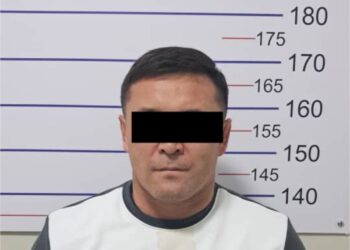 Депутаттыкка талапкер аялы менен жазышкан делген жаранга балта менен кол салууга шектелип кармалды