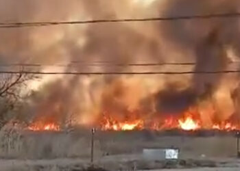 Жабыркагандар жок. Токмоктон чыккан ири өрт өчүрүлдү