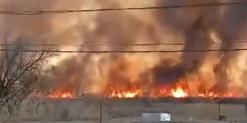 Жабыркагандар жок. Токмоктон чыккан ири өрт өчүрүлдү