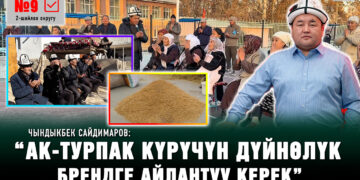 “Мени шайласаңыздар топ-5 депутаттын ичине кирем” | Талапкер Сайдимаров