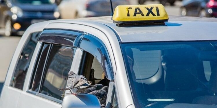 1-декабрдан оң рулдуу унаалар менен такси кызматын көрсөтүүгө тыюу салынат