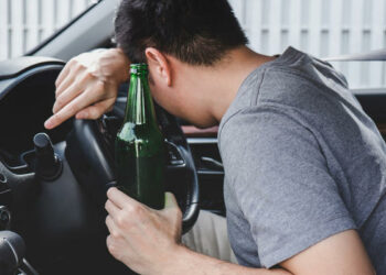 Унаасын токтотуп, каналга секирип кеткен. Бишкекте кайгуулчулар мас айдоочуну артынан кууп барып кармашты