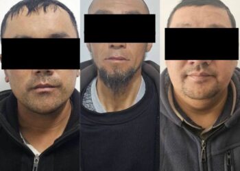 Таласта 41 баш топоз уурдоого шектелгендер кармалды