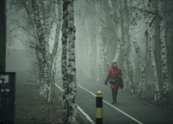 24-декабрга карата өлкөдө күтүлгөн аба ырайы