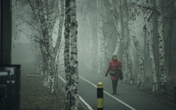 24-декабрга карата өлкөдө күтүлгөн аба ырайы