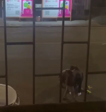 “Атасы сабаган”. Бишкекте колу байланган жигитти ким сабаганы белгилүү болду