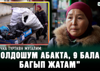 Тачка түрткөн мугалим: “Жолдошум түрмөдө”