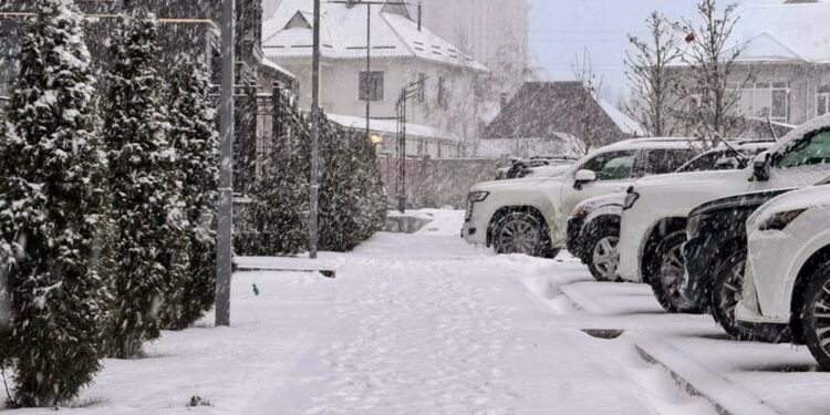 26-декабрга карата өлкөдө күтүлгөн аба ырайы