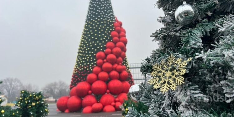 Ош шаарында аянтты жасалгалоого 3 миллион сом жумшалды