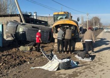 Аскер кызмакери 65 жаштагы эркек кишини сүзүп кетип, ал жеринде каза болду