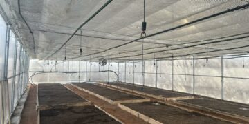 Тоңдо 30 гектар жерге көчөт отургузулуп, күнөскана жана муздаткыч кампасы ишке берилди