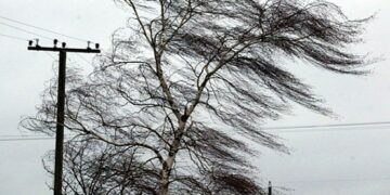 Жакынкы сааттарда Бишкекте катуу шамал күтүлөт