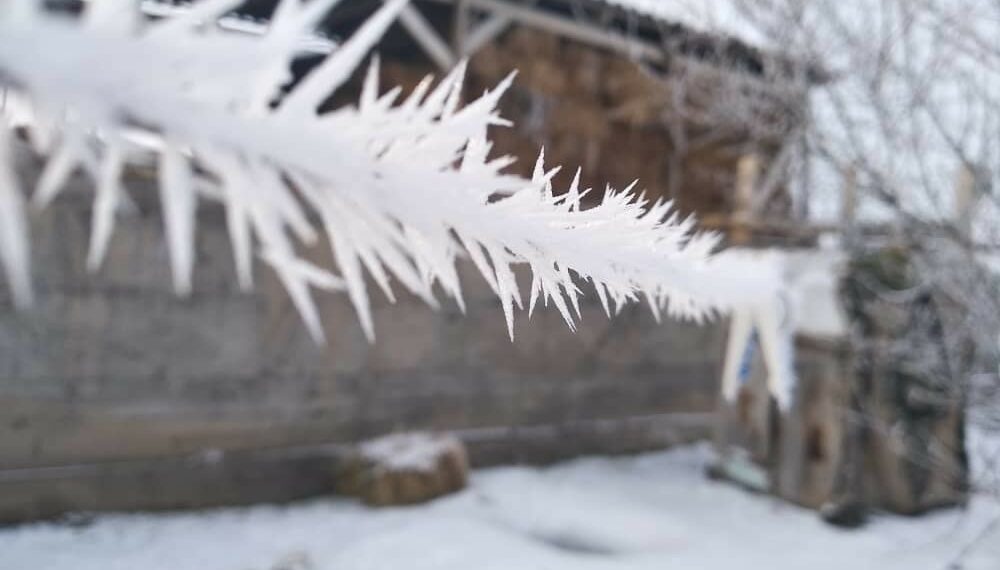 19-декабрга карата өлкөдө күтүлгөн аба ырайы