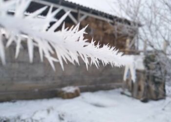 19-декабрга карата өлкөдө күтүлгөн аба ырайы