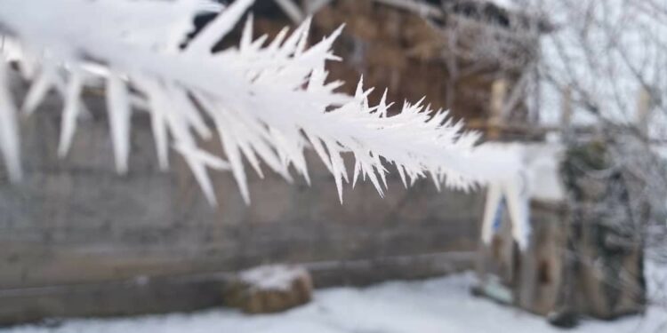 19-декабрга карата өлкөдө күтүлгөн аба ырайы