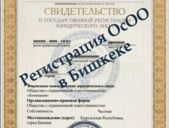 Иштебеген юридикалык жактардын каттоосу жокко чыгарылат