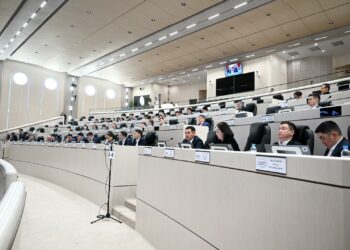 Депутаттар тармактык комитеттердин төрагаларынын орун басарларын шайлашты