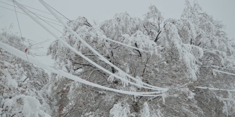 Эртеңден тартып өлкөдө абанын температурасы төмөндөйт