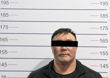 Бишкекте мурдагы аялын өлтүрүүгө шектелген жаран кармалды