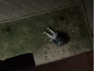 «Жерде жаткан жаранды сабап жатат» деген видеодон кийин 4 жигит кармалды