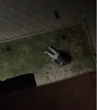 «Жерде жаткан жаранды сабап жатат» деген видеодон кийин 4 жигит кармалды