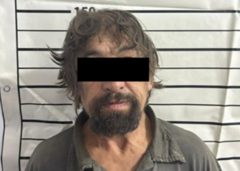 Чүйдө аялын өлтүрүүгө шектүү кармалды