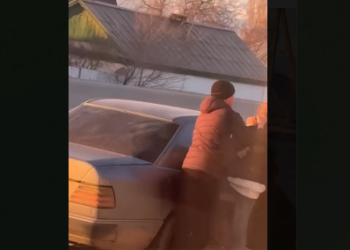 «Кулчулуктан качкан жаранды унаага салып жатат» деген видео тарады. Милиция маалымат берди