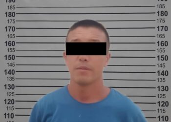 Лейлекте өзүн айылдын «отвечающийи» катары көрсөткөн жаран кармалды