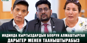 Индияда кыргыздардын боорун алмаштырган дарыгер менен тааныштырабыз