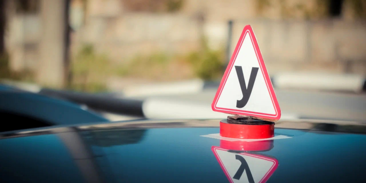 Садыр Жапаров: «Жеке автомектептердин көпчүлугү айдоочуну сапаттуу даярдоого кызыкдар болгон эмес. Алардын негизги максаты — акча табуу»