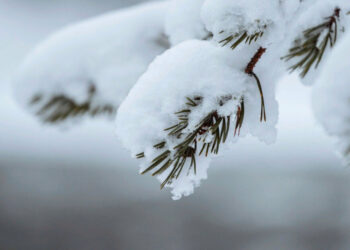 6-февралга карата өлкөдө күтүлгөн аба ырайы