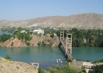 Депутат Борбиев: «Таш-Көмүр шаарында вирустук гепатит күч алып жатат»