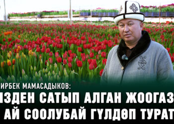 Гүл бизнесин кылган экс-депутат