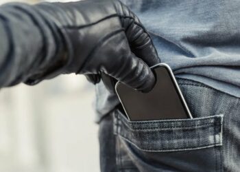 Бишкекте iPhone 17 Pro Max телефонун уурдоого шектелген жаран кармалды