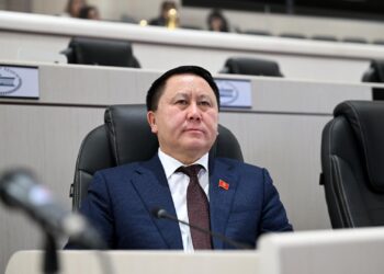 Депутат Зулушев буга чейин жоюлган рецидив түшүнүгү эмне үчүн кайра киргизилип жатканына кызыкты