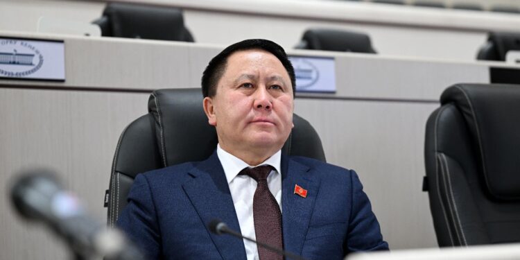 Депутат Зулушев буга чейин жоюлган рецидив түшүнүгү эмне үчүн кайра киргизилип жатканына кызыкты