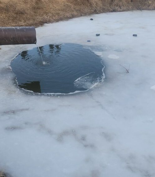 Сокулукта көлмөгө чөгүп каза болгон 3 бала тууралуу милиция маалымат таратты