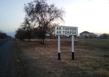 Чүй облусунда эки жигитти өлтүрүүгө шектелген төрт адам кармалды