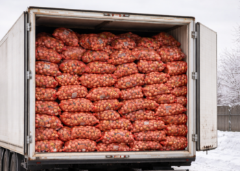 Казакстандан келген 56 тонна пияз Кыргызстанга киргизилген жок