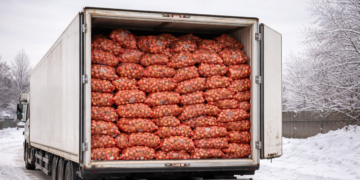 Казакстандан келген 56 тонна пияз Кыргызстанга киргизилген жок