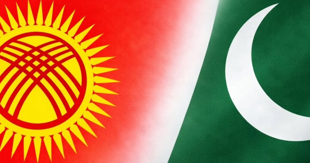 Пакистанда өтүп жаткан митингдерге байланыштуу элчиликтин кайрылуусу