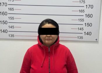 Бийликти каралоого жана коомдук-саясий абалды курчутууга багытталган посттор… ИИМ журналист камакка алынганын билдирди