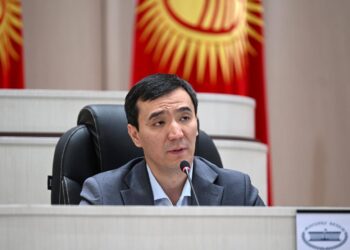 Депутат Алиев: «Бүгүн айрым эркектер ата болгонуна карабай, балдарды тарбиялоого тийиштүү деңгээлде катышпай жатат»